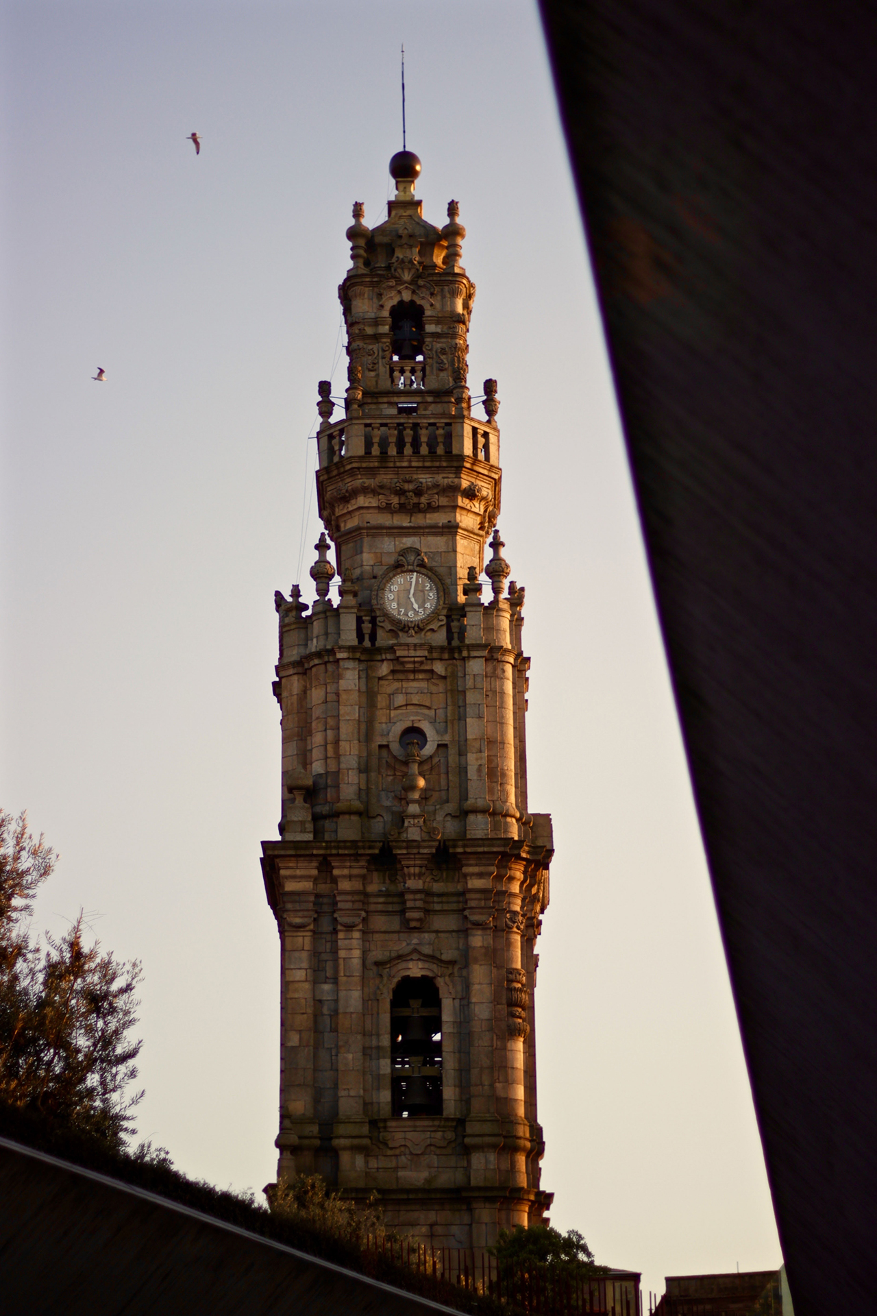 Torre dos Clérigos / Francisca Correia
